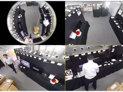 IPS製品IPS-FISH5501の2枚目画像