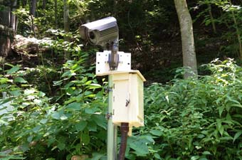 機器設置(ポール) - 参考画像18枚目